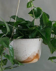 Glacier Hanging Planter by Leaf & Thread グラシア ハンギング プランター