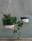 Landscape Brass Hanging Planter by Leaf & Thread ランドスケープ ハンギングプランター
