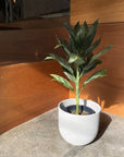 Speckle Planter U-style スペックルプランター U