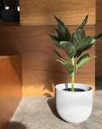 Speckle Planter U-style スペックルプランター U
