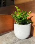 Speckle Planter U-style スペックルプランター U