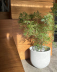 Speckle Planter U-style スペックルプランター U