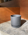 Speckle Planter with saucer スペックルプランター ソーサー付