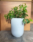 Speckle Planter U-style スペックルプランター U