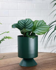 Palm Springs Planter Small by Lightly パームスプリングスプランター S
