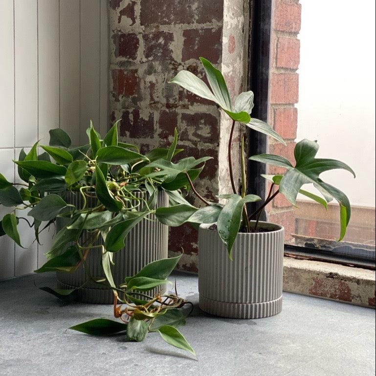 スペイン製デザイナーズプランター ストーン 140 高さ140cm VN-55012A 植木鉢 樹脂製 屋外 屋内 オブジェ 軽量 おしゃれ インドア 大型 観葉植物 アウトドア コースター Godinger 4点セット シンプルで華やかなゴールド縁アメリカ