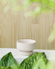 Soft Pink Collectors Gro Pot by Angus & Celeste コレクターズグロウポット ペールピンク