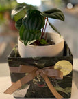 Gift Wrapping ギフトラッピング