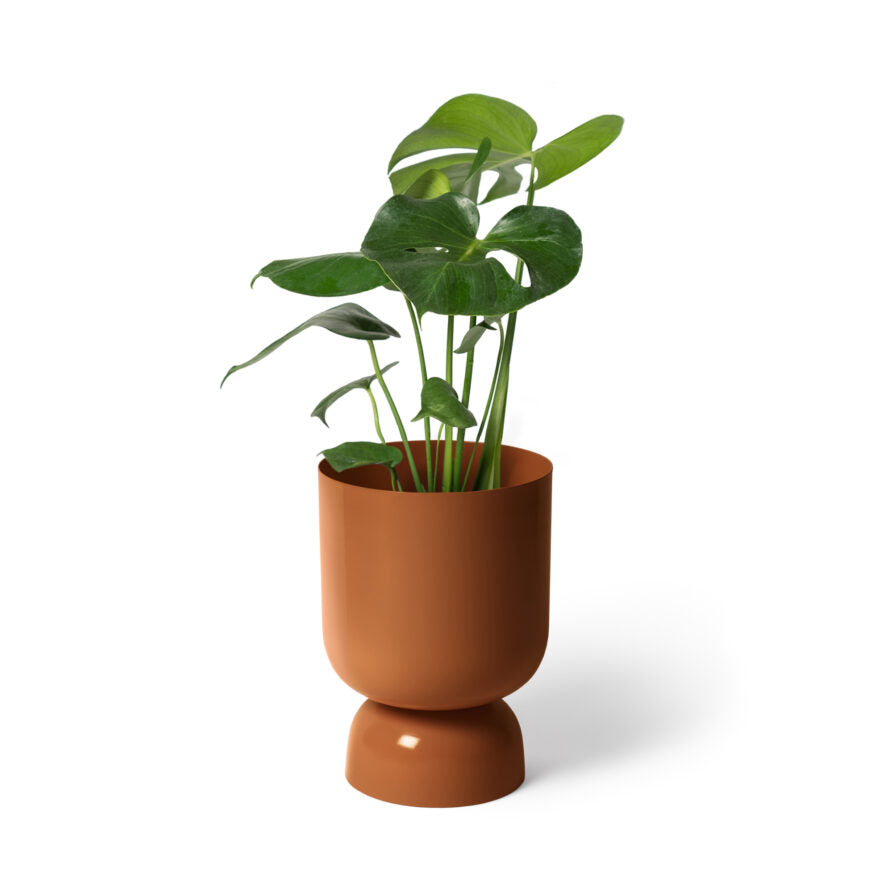 ゴブレットプランター A by ライトリー I 植木鉢 I プラント ゴブレットプランター A by ライトリー I 植木鉢 I プラント