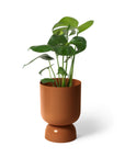 Goblet Planter Small By Lightly ゴブレットプランター S
