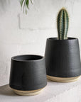 ブラックプランター by Penelope Duke