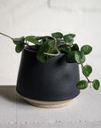ブラックプランター by Penelope Duke