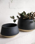 ブラックプランター by Penelope Duke