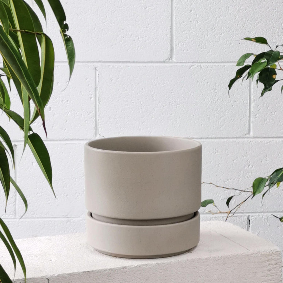コラプランター by The Plant Society