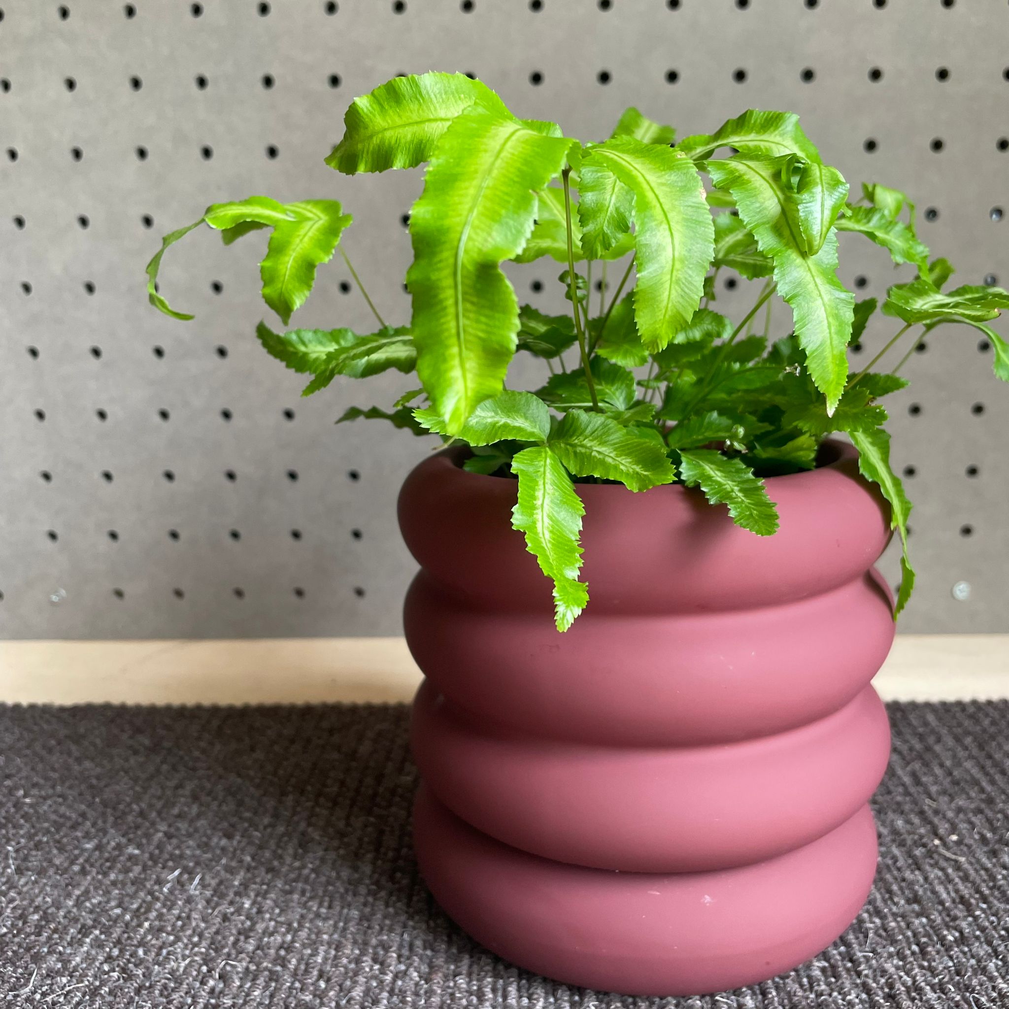 Vieno Planter I 植木鉢 I プラントソサエティトーキョー – THE PLANT