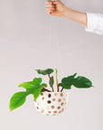 Dots Decorative Hanging Planter by Angus & Celeste ハンギングプランター ドット