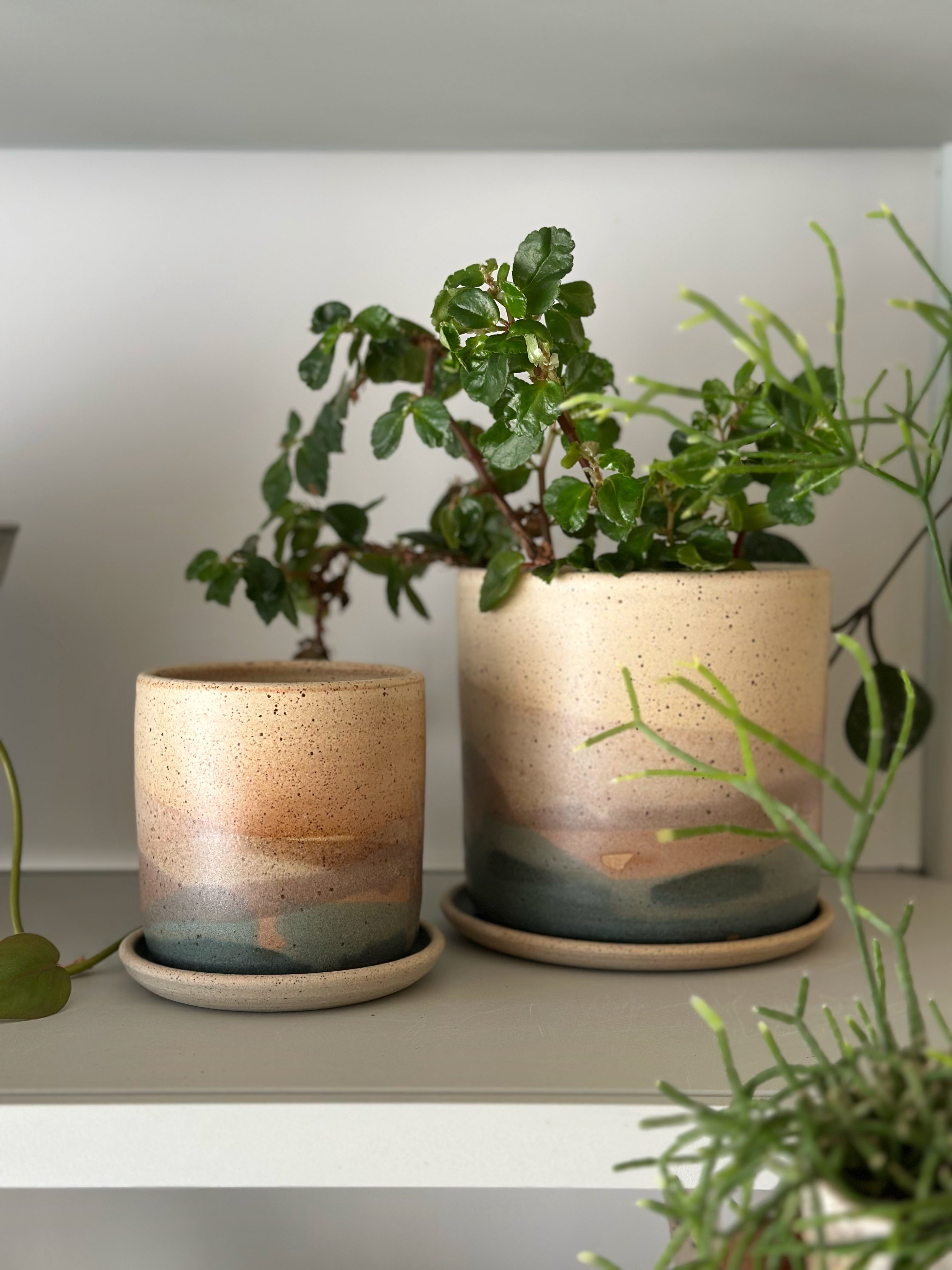 ハンドメイド 植木鉢 I プラントソサエティトーキョー – THE PLANT