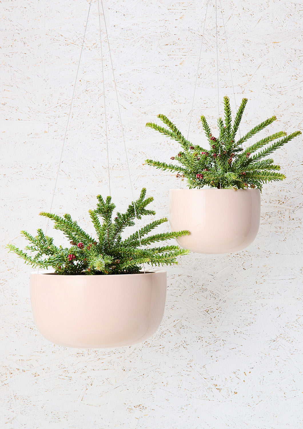 ハンドメイド 植木鉢 I プラントソサエティトーキョー – THE PLANT