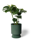 Palm Springs Planter Large by Lightly パームスプリングスプランター L