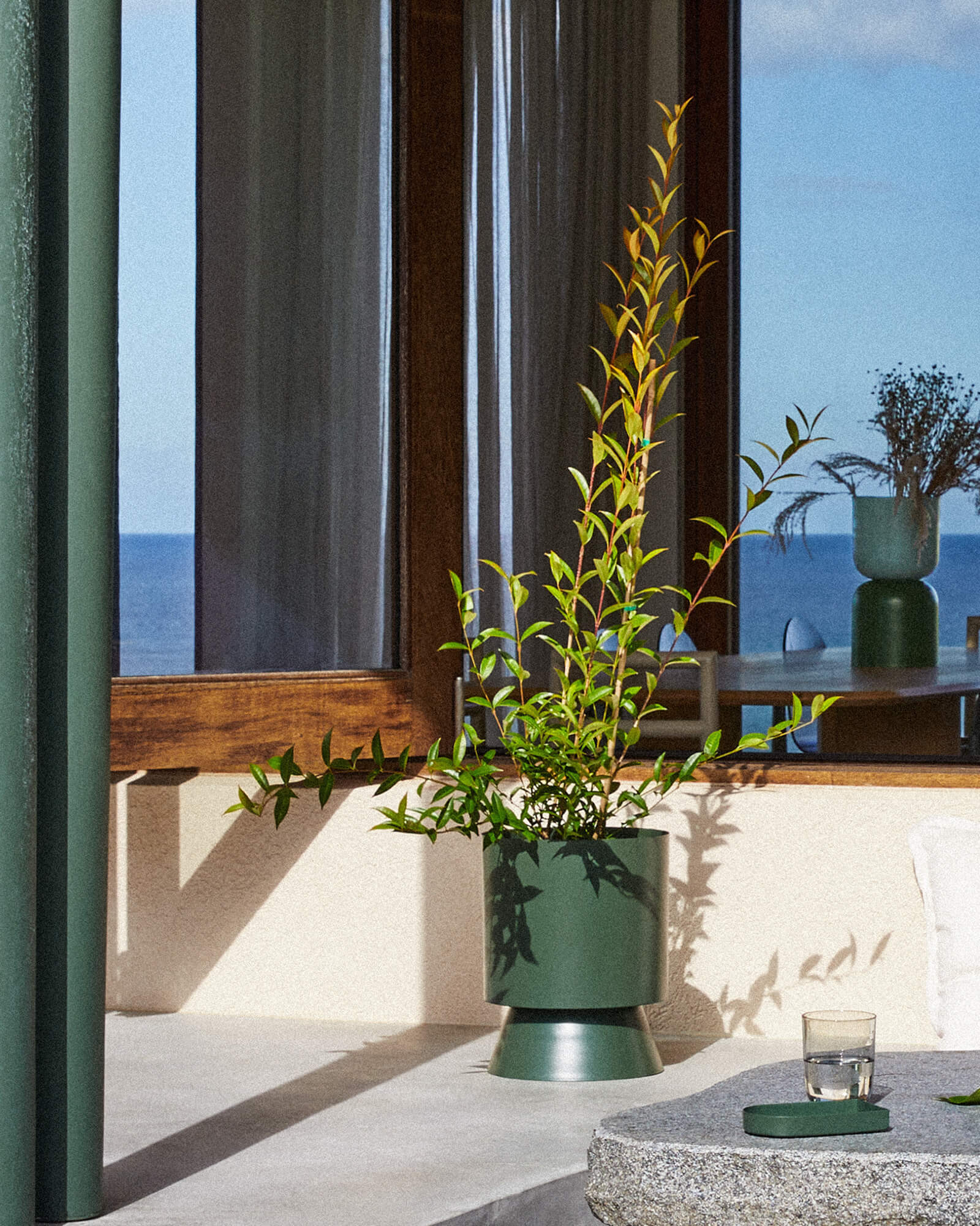 植木鉢・花瓶 Planters & Vases – THE PLANT SOCIETY TOKYO