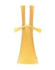 Pleco Tate-Pleats Bag 濃支色（Musterd）