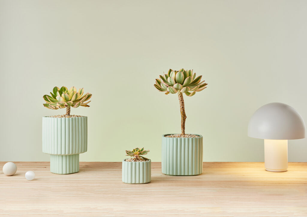 ハンドメイド 植木鉢 I プラントソサエティトーキョー – THE PLANT