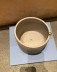 Planter by Bridget Bodenham プランター