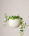 White Speckle Spherical Hanging Planter by Angus & Celeste ハンギングプランター ホワイトスペックル