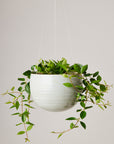 Grey Crackle Spherical Hanging Planter by Angus & Celeste ハンギングプランター グレークラックル