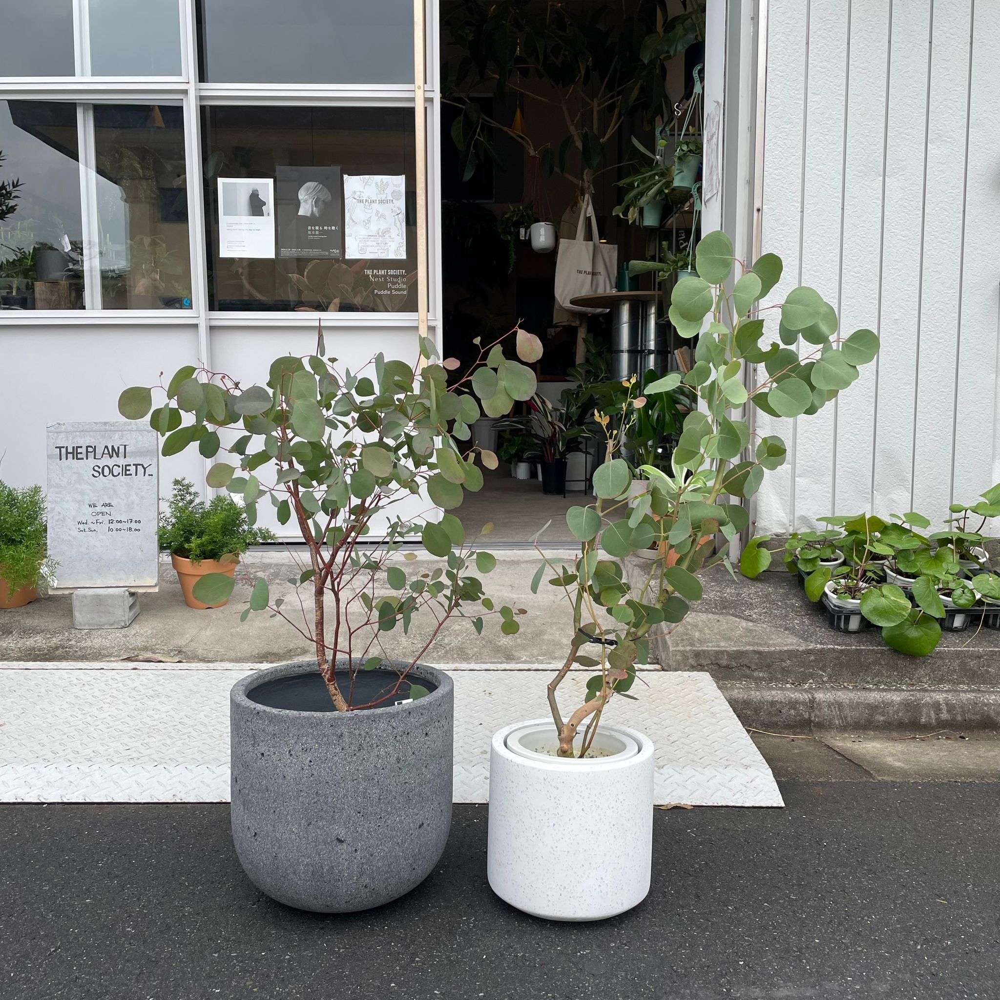 アントステラ　プランター プランター ステララウンド L | Laut design online shop