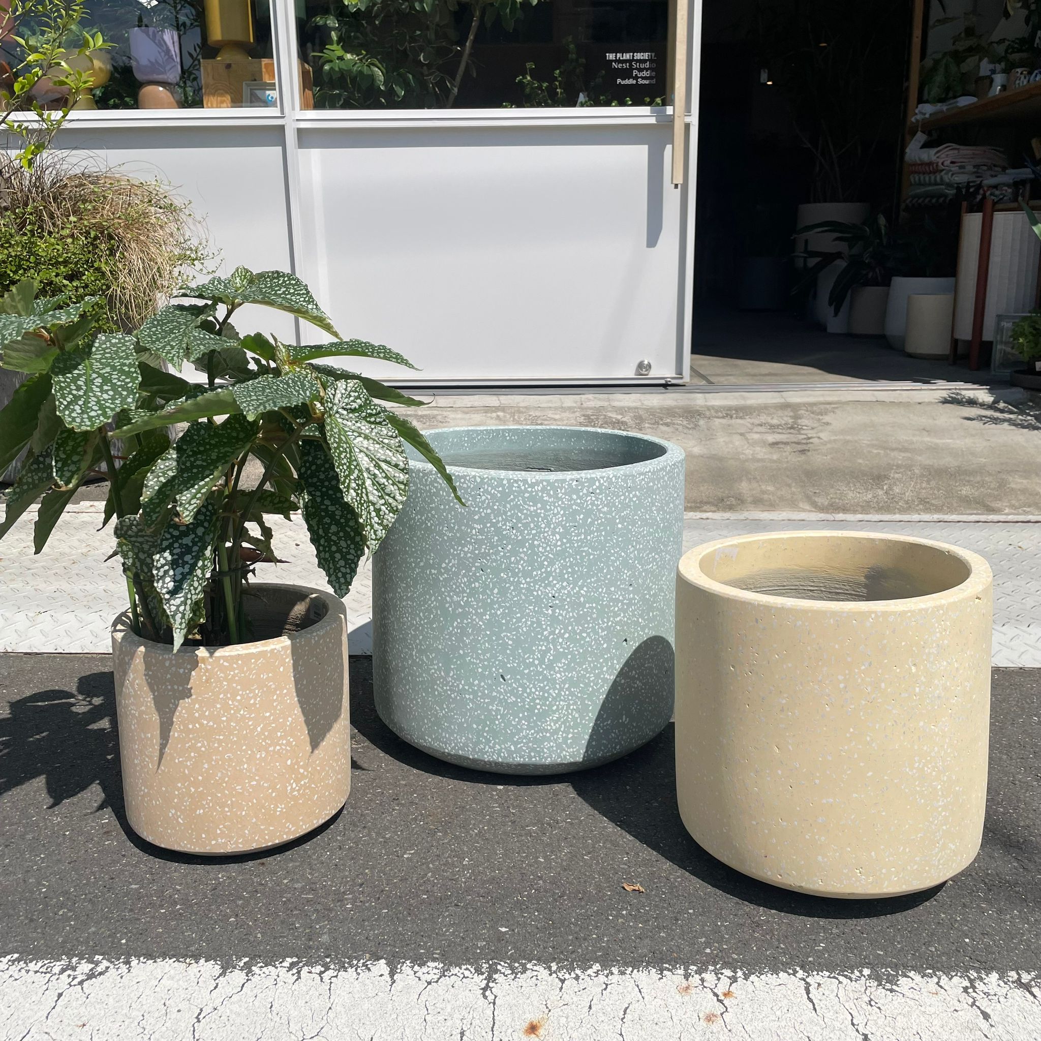 植木鉢andソーサー✳︎POT観葉植物✳︎園芸プランター タイディポット L 植木鉢 鉢 ソーサー セット プランター