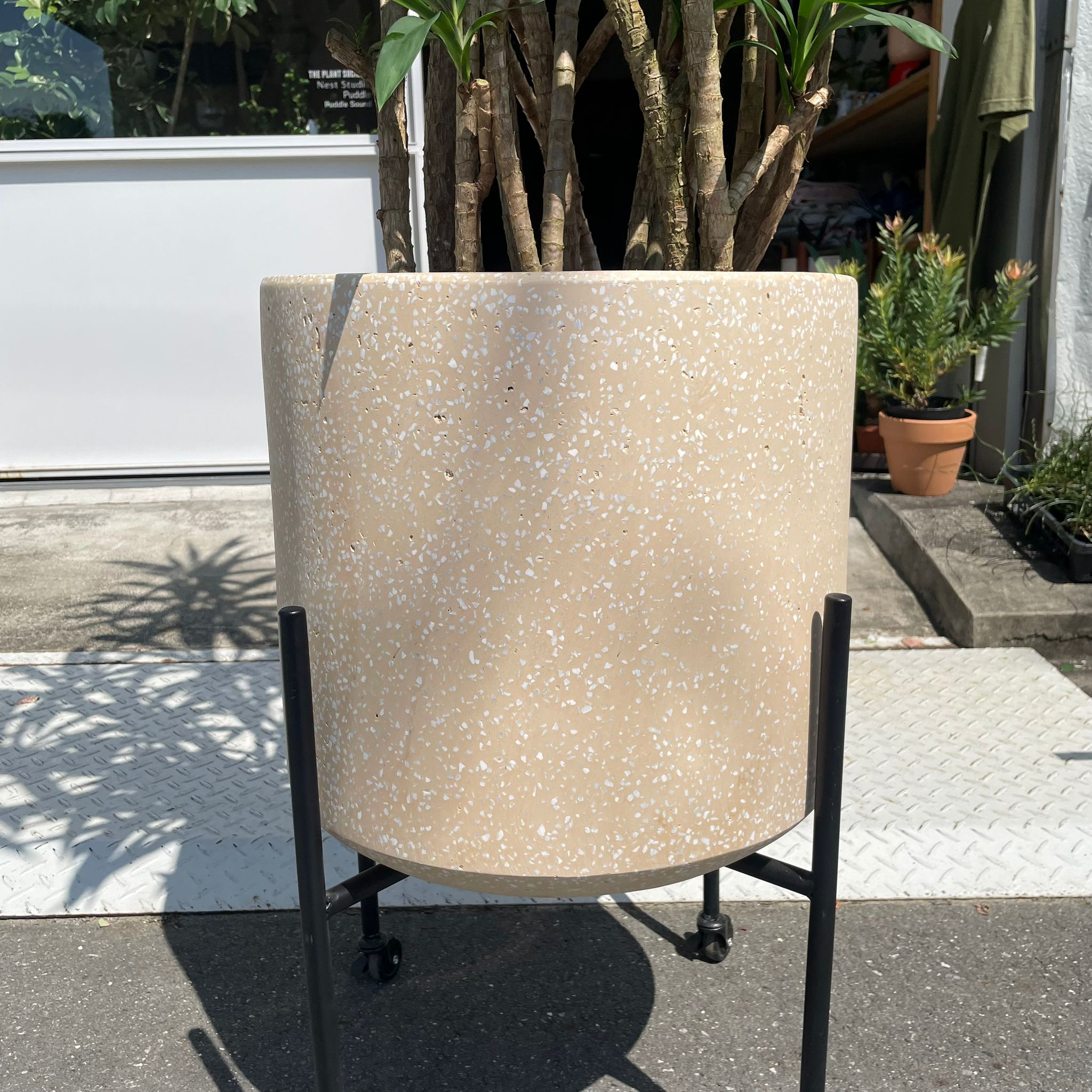 Windsor Planter ウィンドソープランター I 植木鉢 I プラント