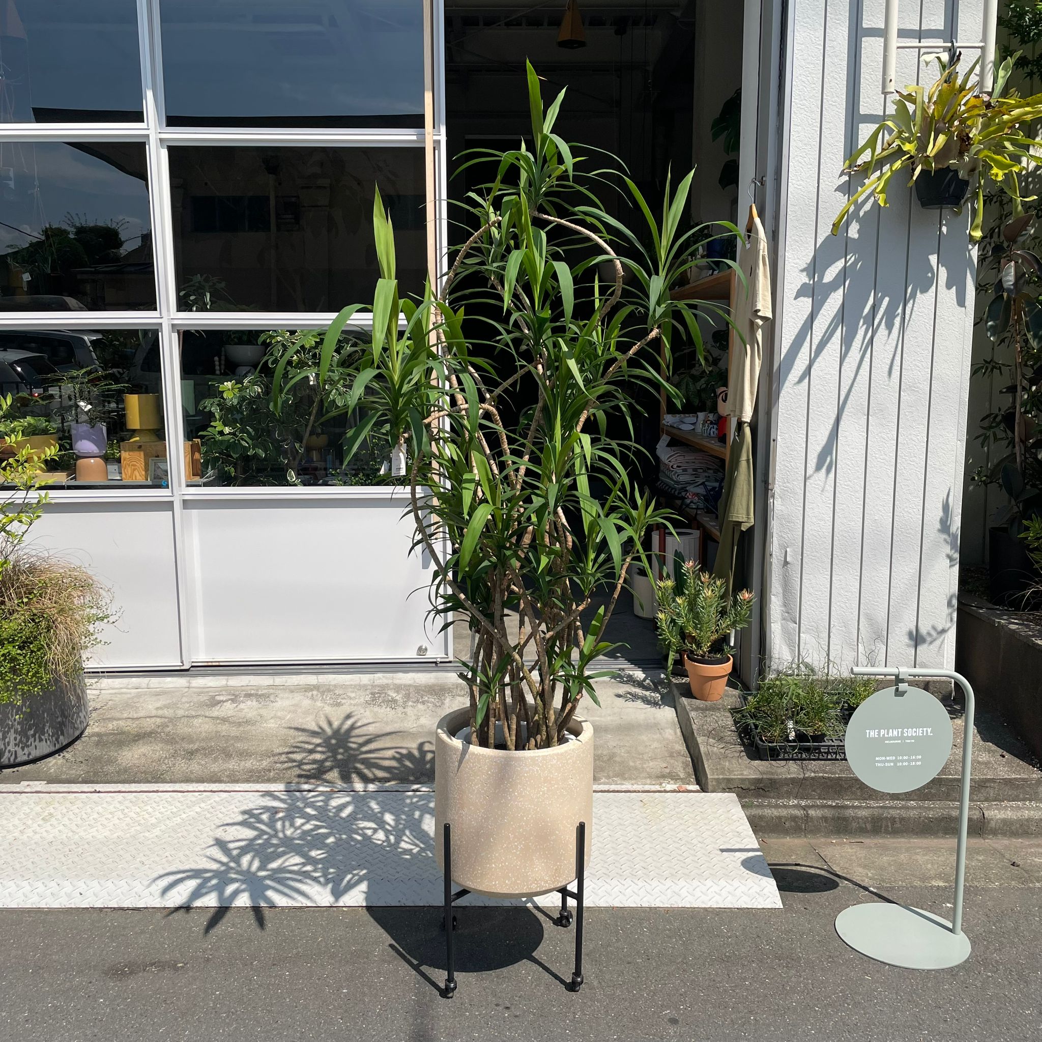 Windsor Planter ウィンドソープランター I 植木鉢 I プラント