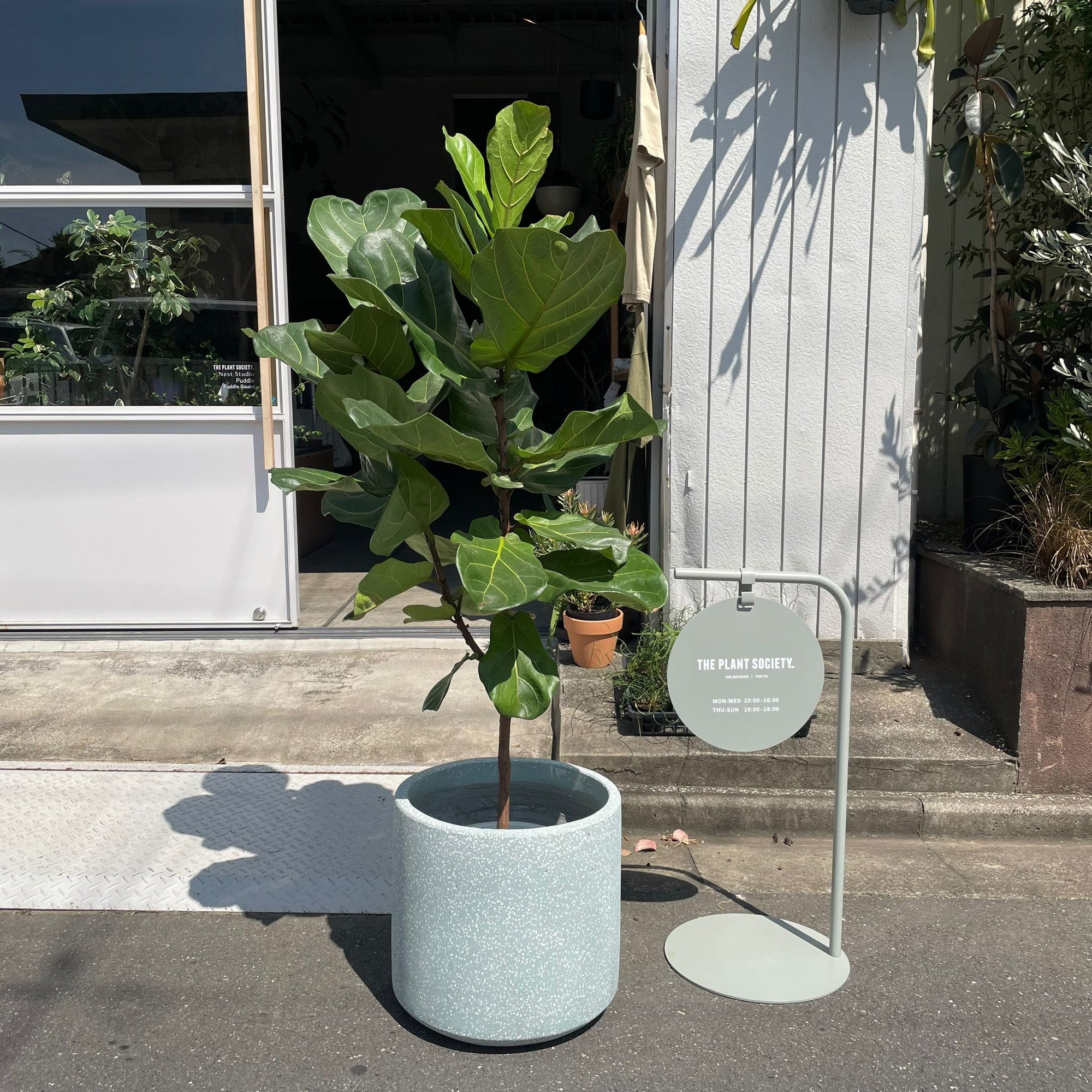 Windsor Planter  ウィンドソープランター