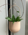 Fanne hanging ファンヌハンギング