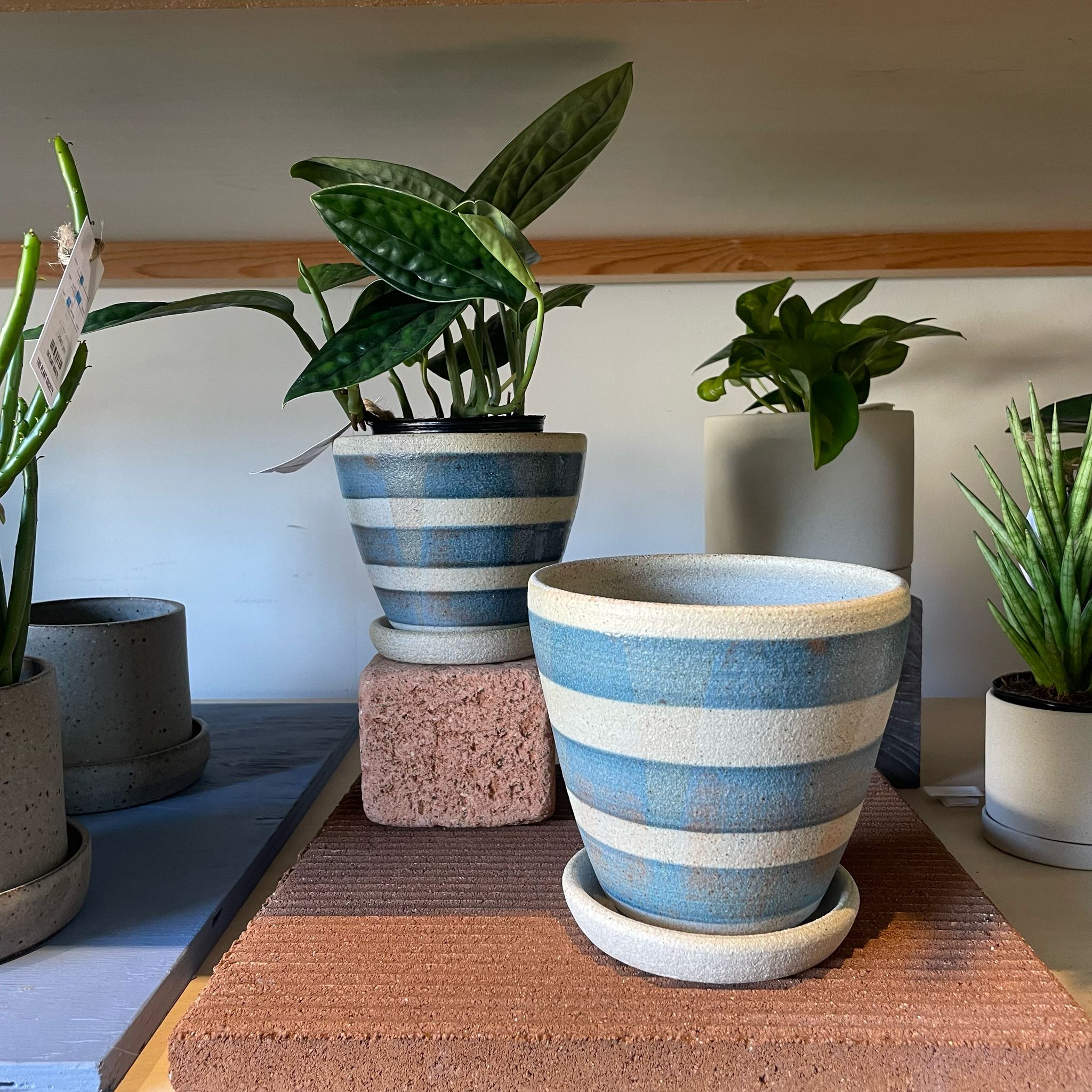泥除けオーダー8枚、ブルー/アイボリー Windsor Planter ウィンドソープランター I 植木鉢 I プラント