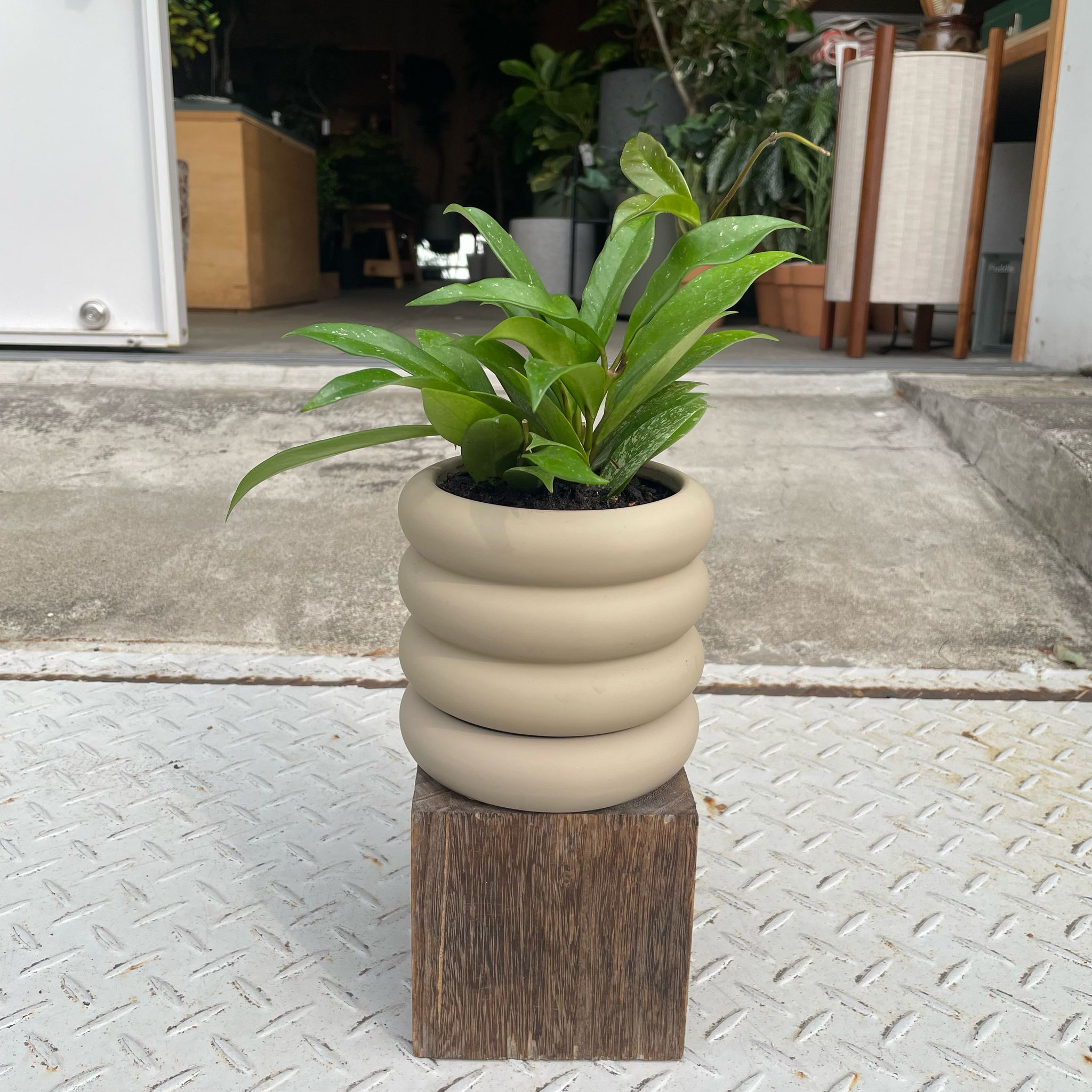 植木鉢　2個セット Vieno Planter I 植木鉢 I プラントソサエティトーキョー – THE PLANT