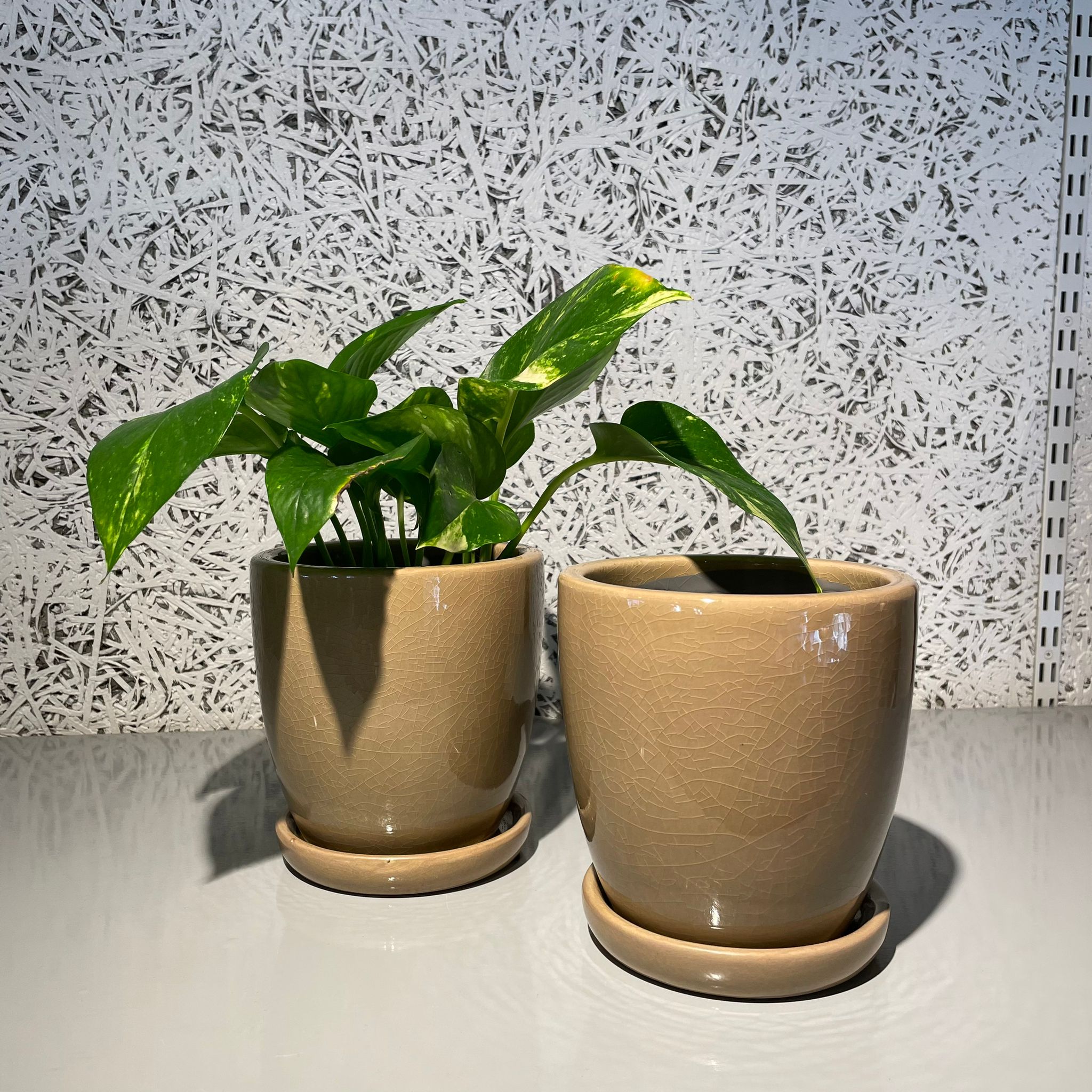 ミオプランター I 植木鉢 I プラントソサエティトーキョー – THE
