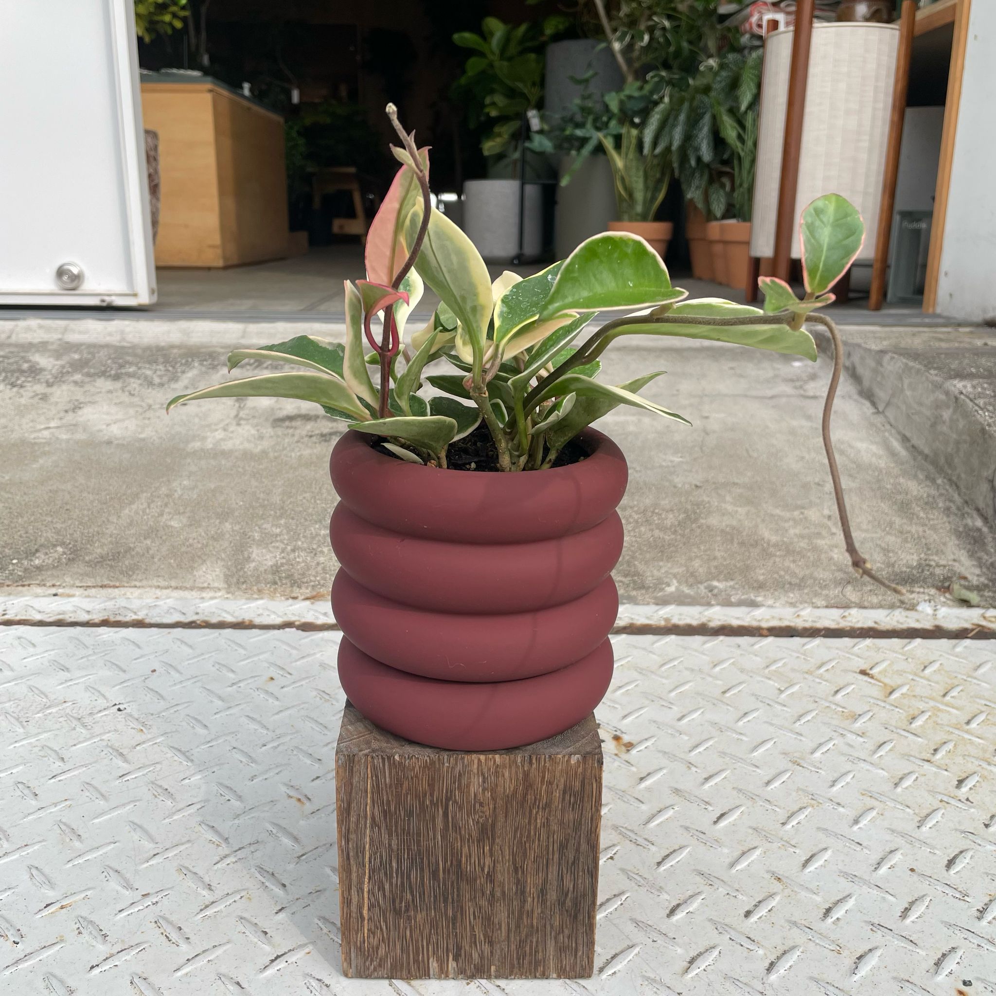 Vieno Planter I 植木鉢 I プラントソサエティトーキョー – THE PLANT