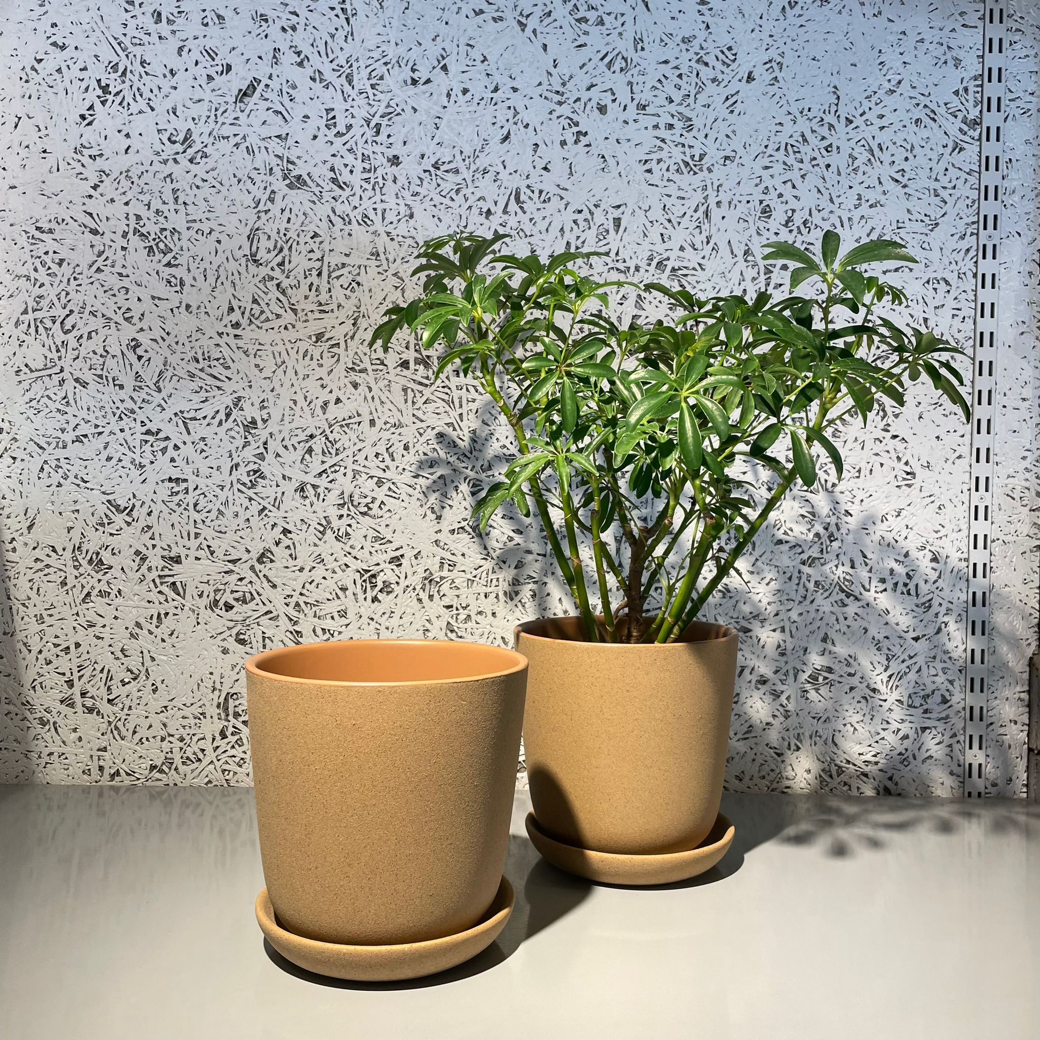 Brunswick Planter ブランスウィックプランター I 植木鉢 I プラント