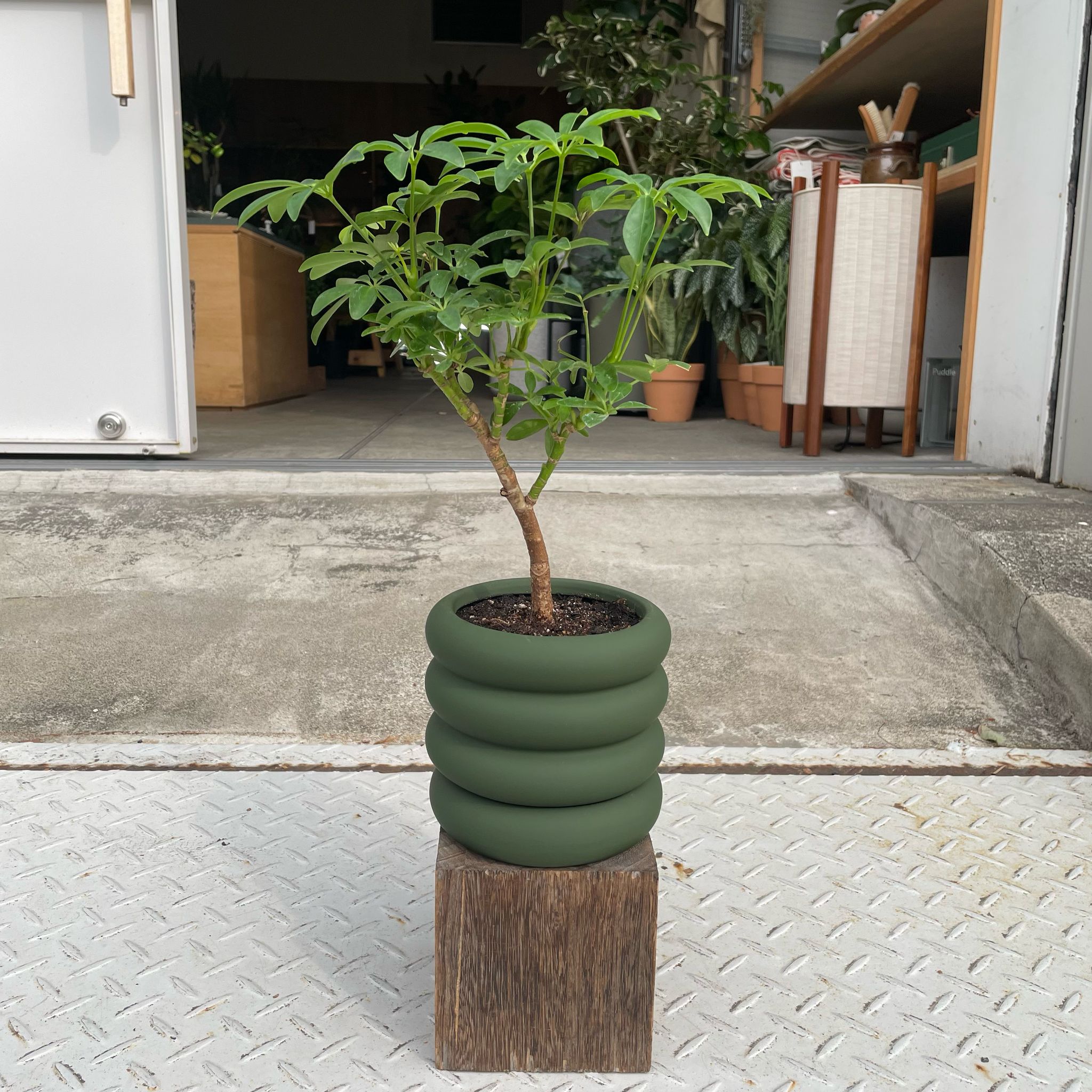 Vieno Planter I 植木鉢 I プラントソサエティトーキョー – THE PLANT
