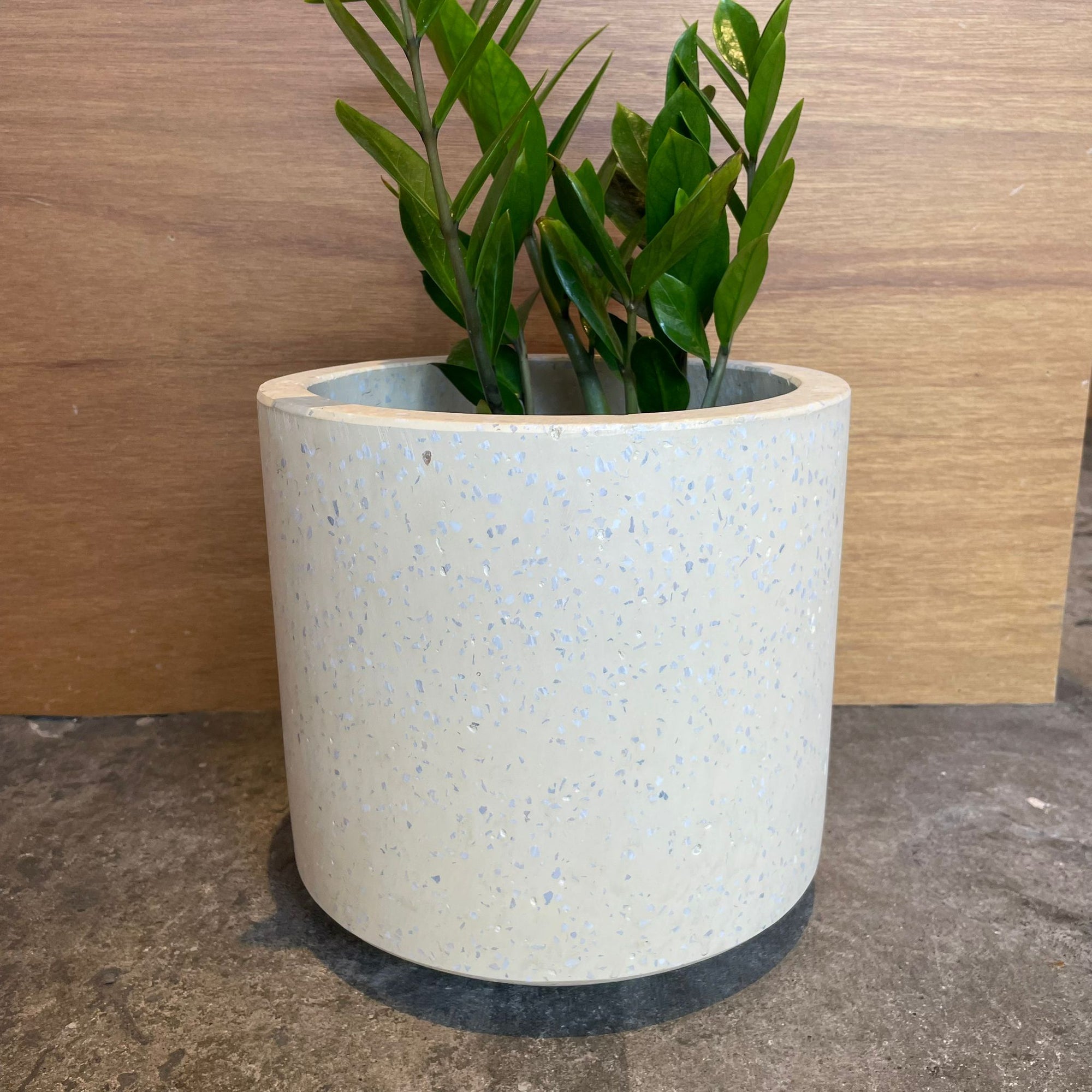 Windsor Planter  ウィンドソープランター