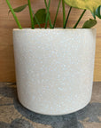 Windsor Planter  ウィンドソープランター