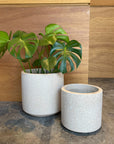 Windsor Planter  ウィンドソープランター