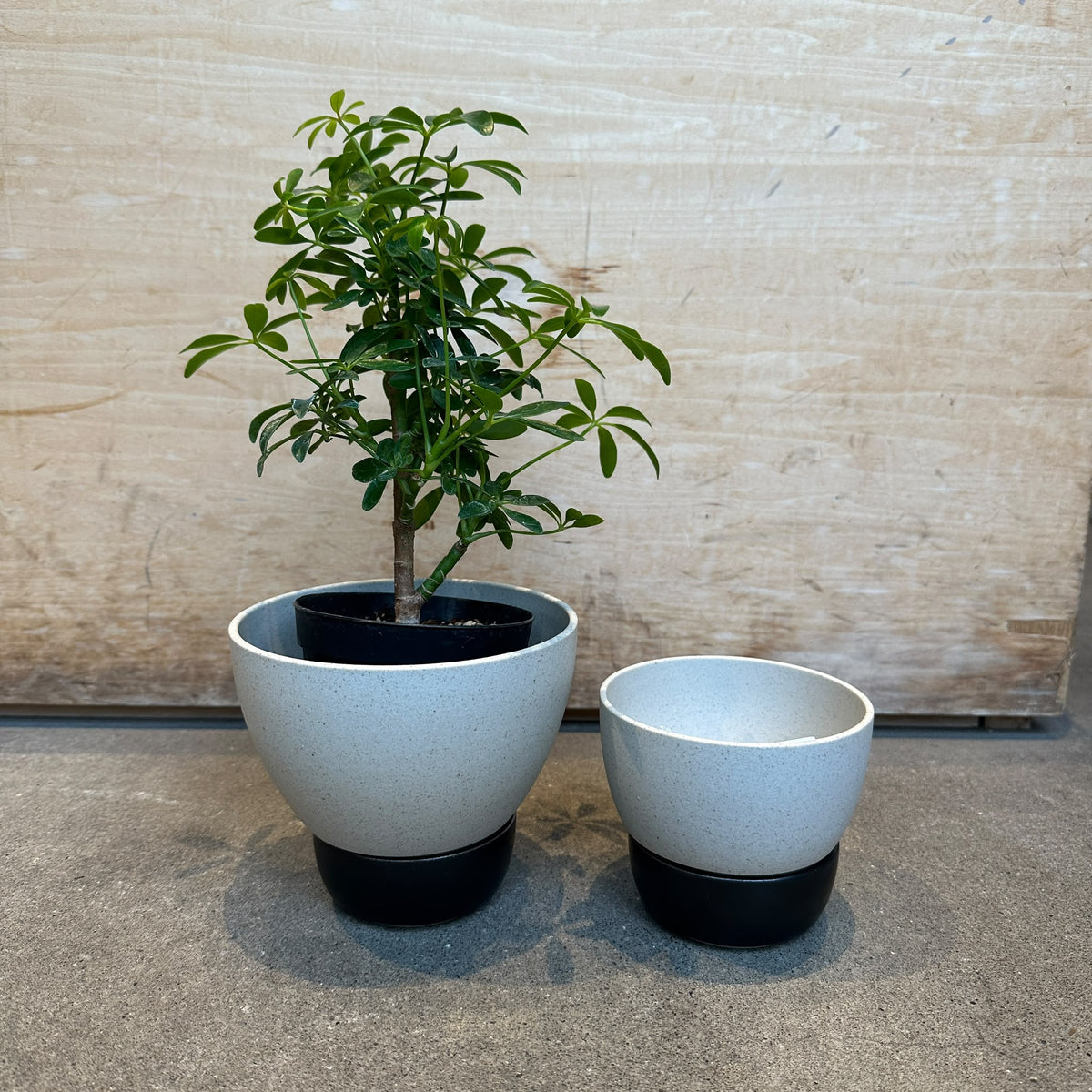 Husk Planter in Black