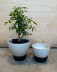 Husk Planter in Black