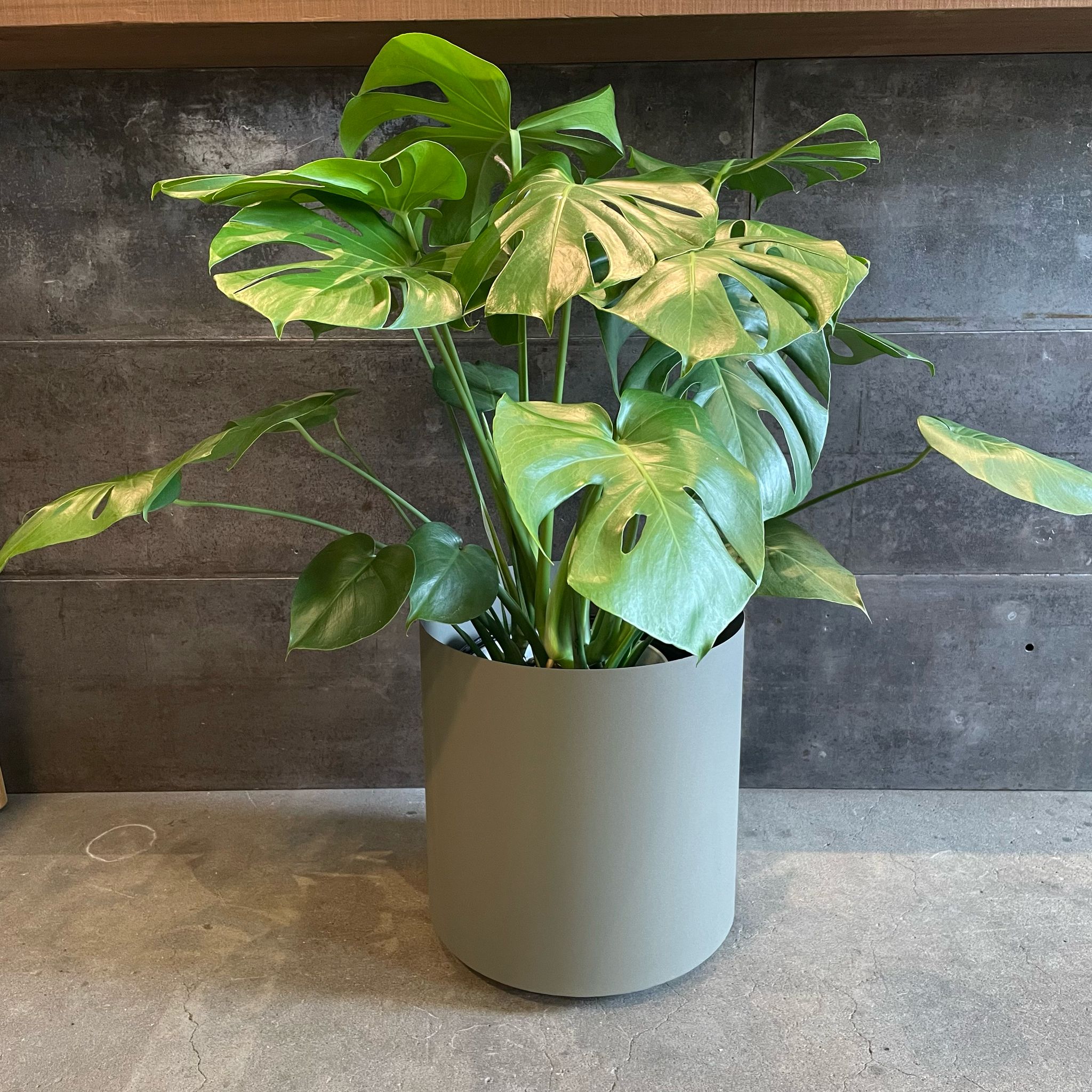 メタルシリンダープランターカバー (キャスター付き) I 植木鉢 I