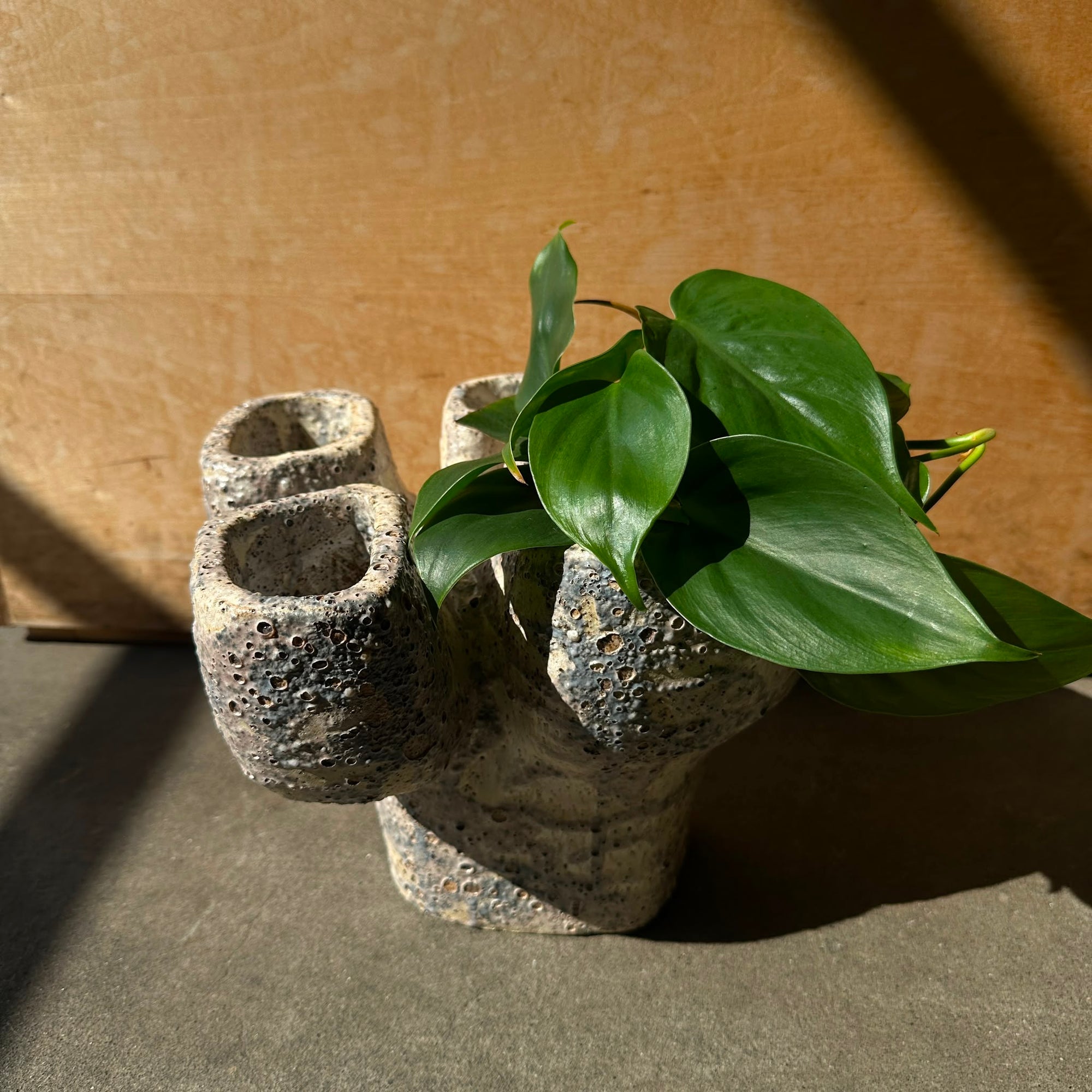 Mini Quad on Plinth Planter by Buzzby &amp; Fang ミニクアッドオンプリンスプランター