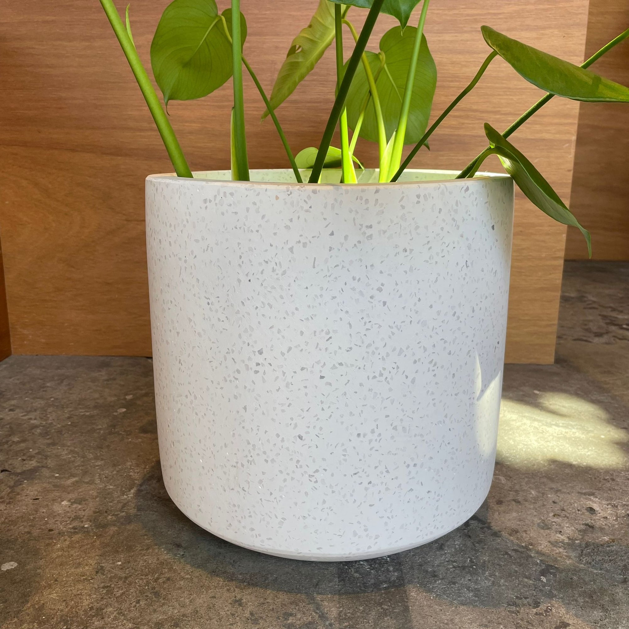 Shadow Planter シャドウプランター