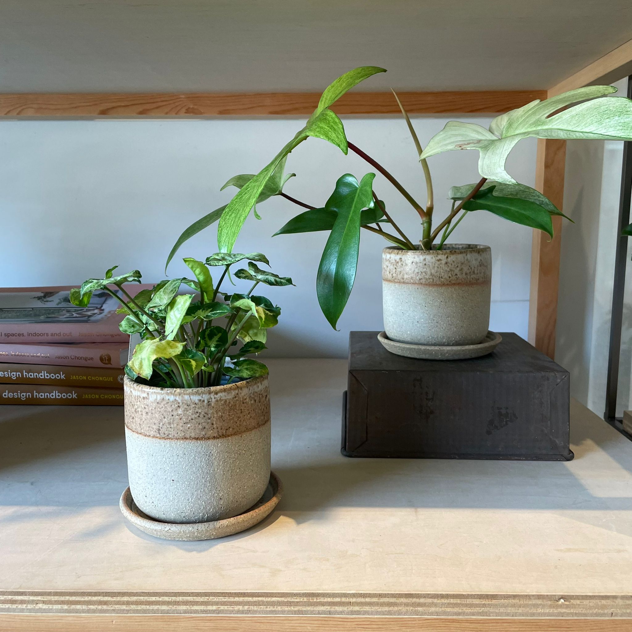 Speckle White Dip Planter by Arcadia Scott スペックル ホワイト